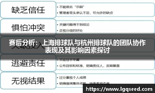 赛后分析：上海排球队与杭州排球队的团队协作表现及其影响因素探讨